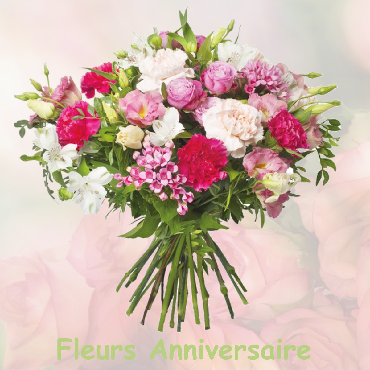 fleurs anniversaire LIMOUX